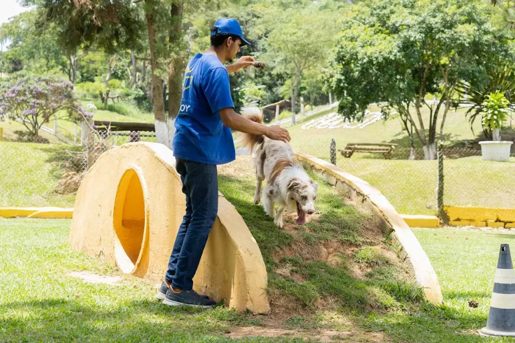 fotografia institucional hotel para cachorro 1